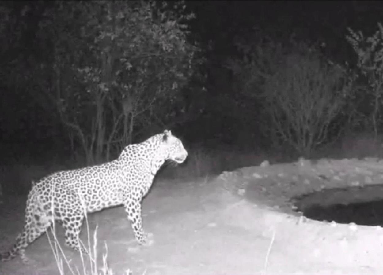 Bushvilla Umoja Kruger Phalaborwa Zewnętrze zdjęcie