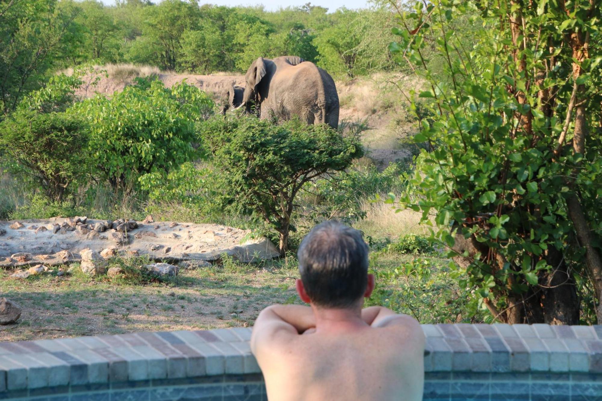 Bushvilla Umoja Kruger Phalaborwa Zewnętrze zdjęcie