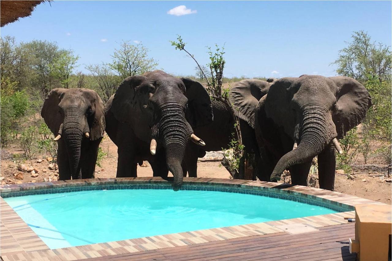 Bushvilla Umoja Kruger Phalaborwa Zewnętrze zdjęcie
